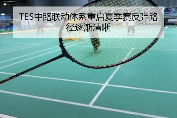 TES中路联动体系重启夏季赛反弹路径逐渐清晰