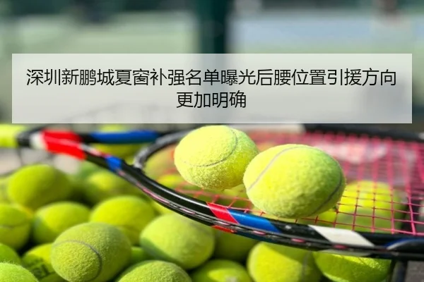 深圳新鹏城夏窗补强名单曝光后腰位置引援方向更加明确