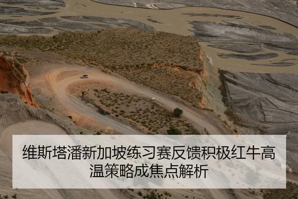 维斯塔潘新加坡练习赛反馈积极红牛高温策略成焦点解析
